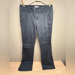American Eagle Outfitters Blue Stretch Twill Pants